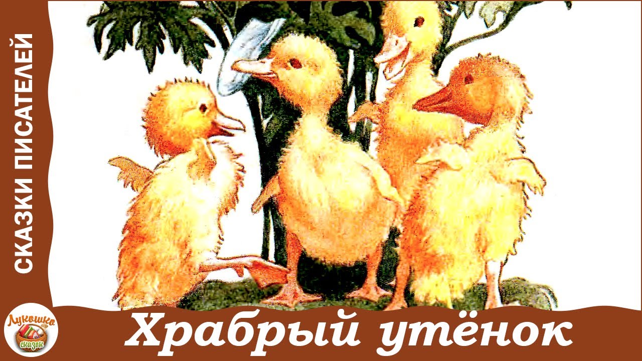 Б Житкова Храбрый утенок. Житков б. "Храбрый утёнок". Солженицын утенок читать. Б Житкова Храбрый утенок. Житков б. "Храбрый утёнок".