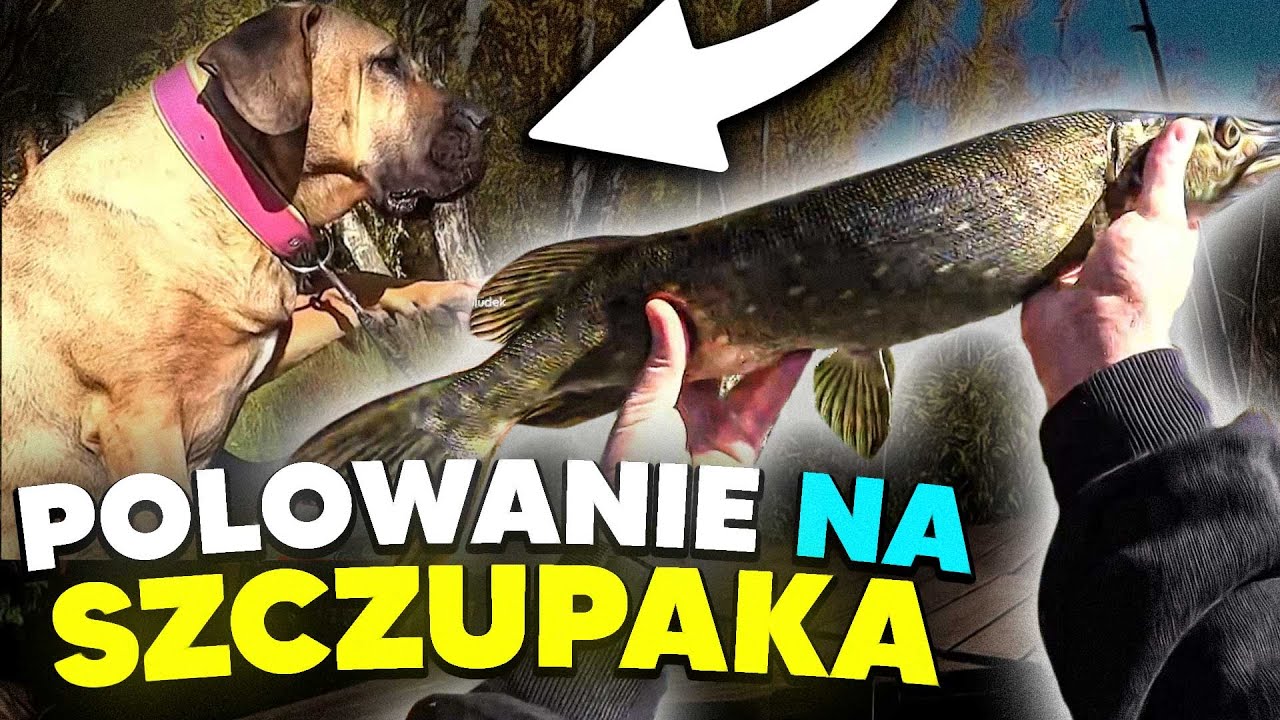 TUSZOL I MIRA NA RYBACH #2  *nietypowa kontrola*