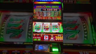 Slot Brothers at Sea - Double Chili Mania - Carnival Elation