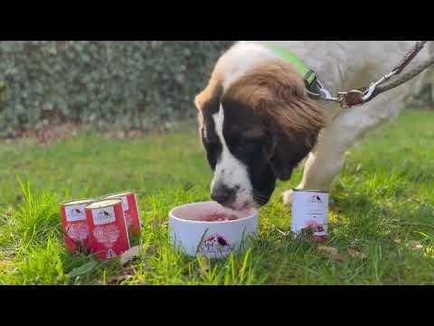 Spendenaktion für das Tierheim Lüneburg