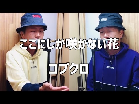 ここにしか咲かない花/コブクロ【歌ってみた】