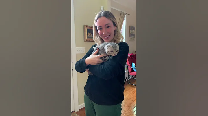 Watch the video about Scottish Fold kitten meets his beautiful mom for the first time They are both smitten by each other
