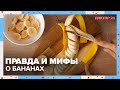 Вся правда о БАНАНАХ | Доктор 24