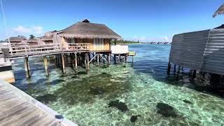 Six Senses Laamu Jetty C Laamu Water Villa With Pool Room 69 Walk During Sunrise
