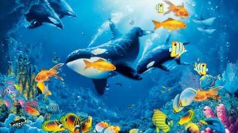 Kizoa Movie Maker - Video Editor: Your Portable Ocean