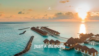 Taoufik - Just A Memory  Resimi