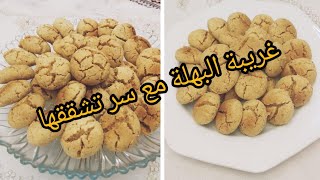 غريبة البهلة باسهل الطرق وسر تشققاتها التي تلفت الانضار ????