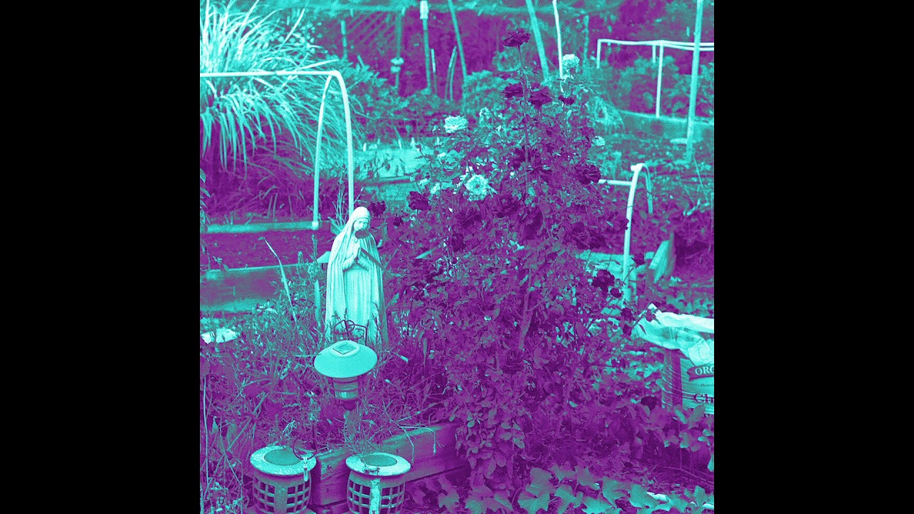 CD Ghost - Bittersweet (Official Audio)