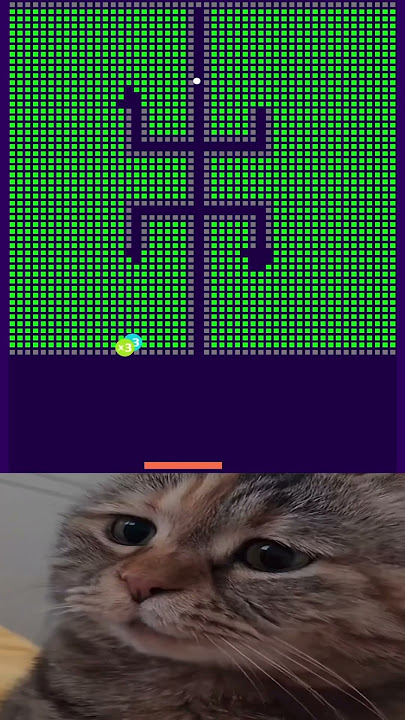 chipi chipi chapa chapa #cat #cute #chipichipi #brickbreaker #shorts