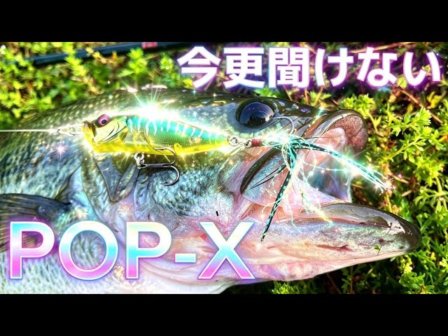 ビッグペンシル ボルスライダーの使い方 - YouTube