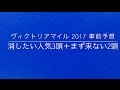 【競馬予想】 ヴィクトリアマイル 2017 事前予想