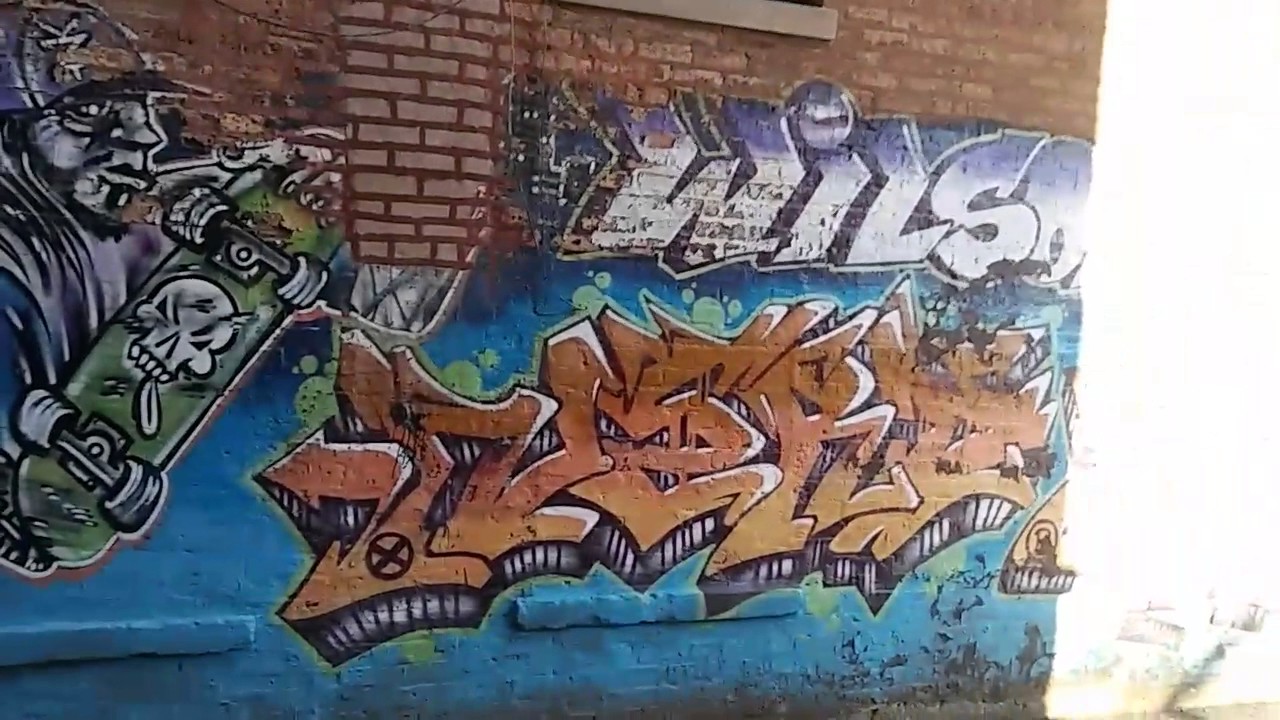 2017 Chicago Graffiti Skate Shop YouTube