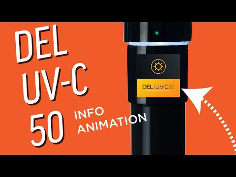 Animated Infographic: All