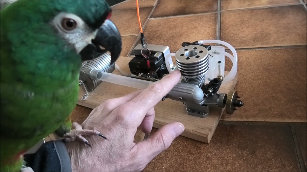 Nitrobirds™ University.