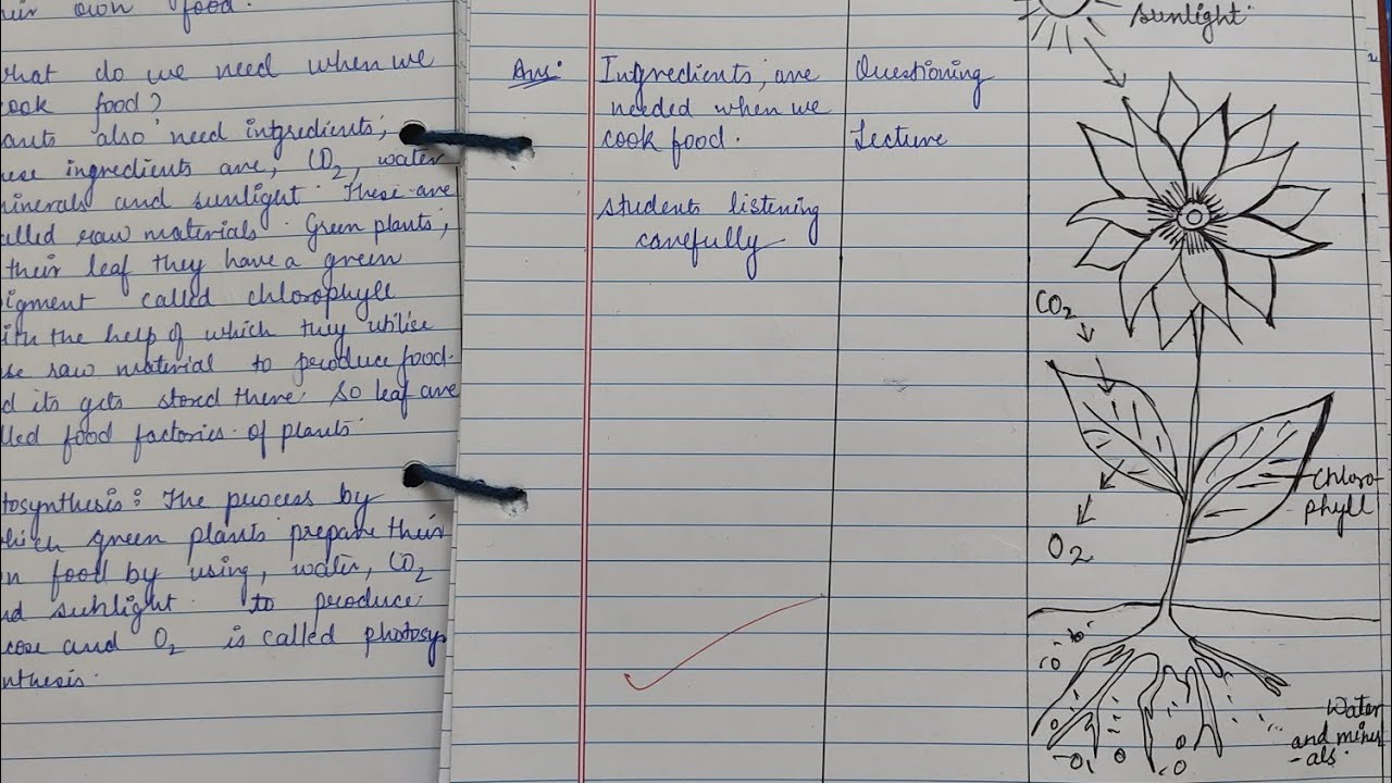 Biology Lesson Plan Topic Autotrophic Nutrition in Plants B.Ed,D