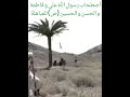 مباهلة #رسول_الله ( صلى الله عليه وآله وسلم) نصارى نجران ♥️🥰
