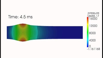 Fluid Structure Interaction simulation