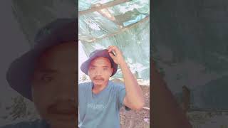 akuselalumenunggu tapisemuanya percuma fypyoutube lewatberanda vedioreels