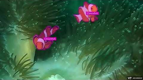 N7 Neurons - August Showreel