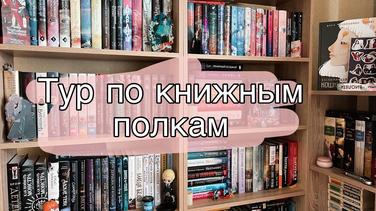 ТУР ПО КНИЖНЫМ ПОЛКАМ📚Моя коллекция книг