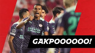 Very IMPORTANT goal from CODY GAKPO 💥 | HIGHLIGHTS Benfica - PSV (link in description)