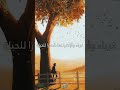غرباء غرباء أنشودة جميلة عن الغربة غرباء وارتضيناها شعار للحياة