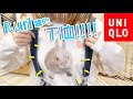 兔奴日本女生的生活紀錄🐰［開箱UTme!衣服］