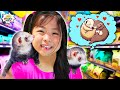 Kids React to baby animal Ferret vs IRobot Roomba