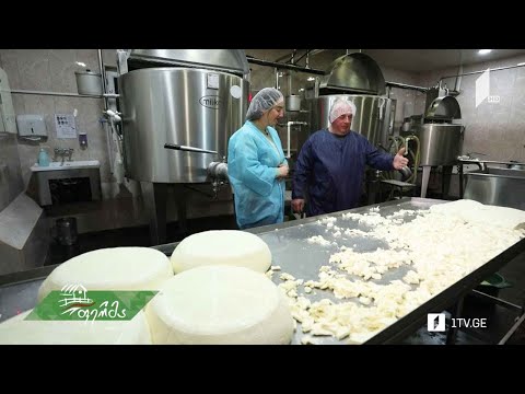 #ფერმა თანამედროვე ტექნოლოგიით აღჭურვილი რძის საწარმო ბოლნისის რაიონში