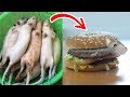 6 Comidas Falsas en China (Con Drawblogs)