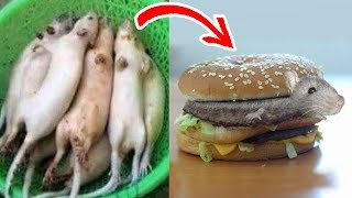 6 Fake Foods in China (With Drawblogs)