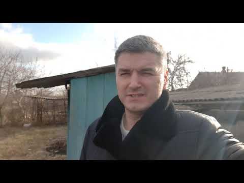 Станица Крыловская Краснодарский край 2020