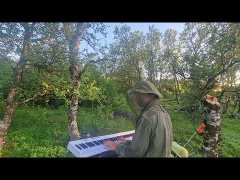 Some progress on Sunset Jesus (Avicii) - Day 32 to Nordkapp