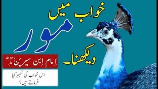 Khawab May Moor Ko  Dakhnay Ki Tabeer Kya Hoti Hay? / Interpretation Of Peafowl In Dreams?