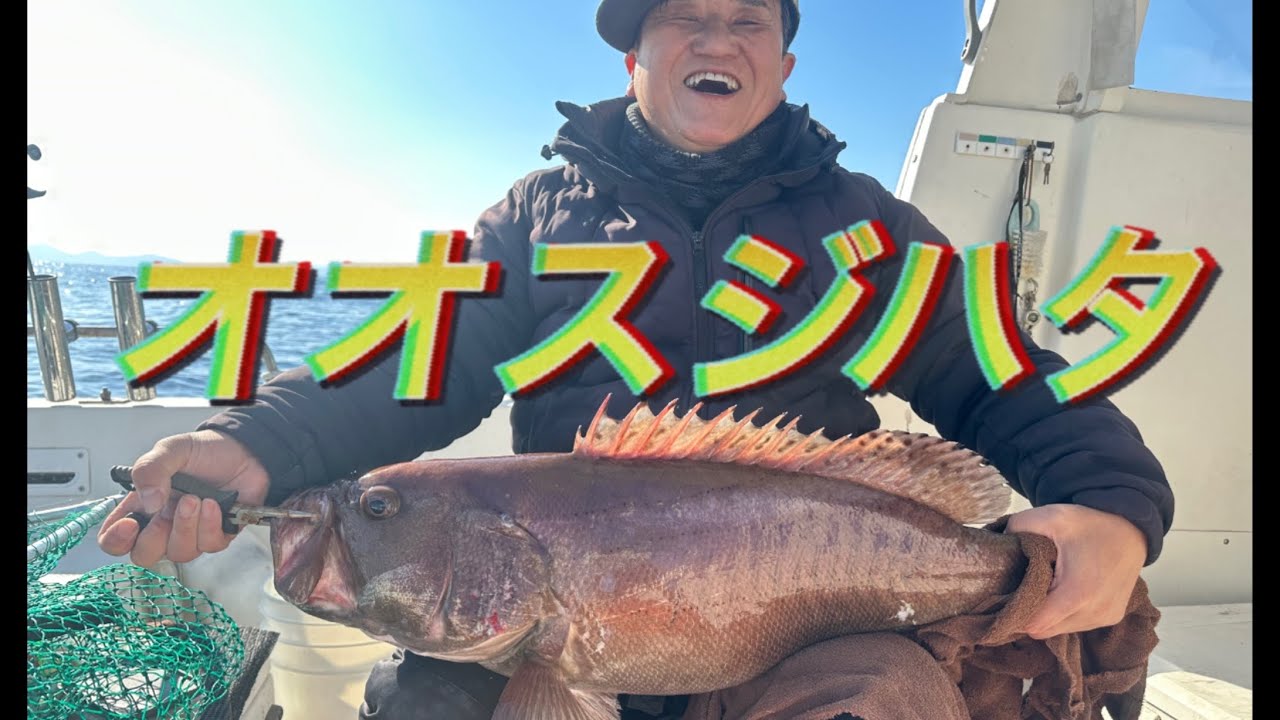 【怪物級】7.6kgオオスジハタ！夫婦釣行で最高のスタート