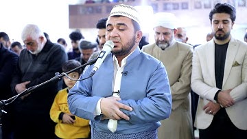 سورة الفجر بصوت القارء شمال الكردي