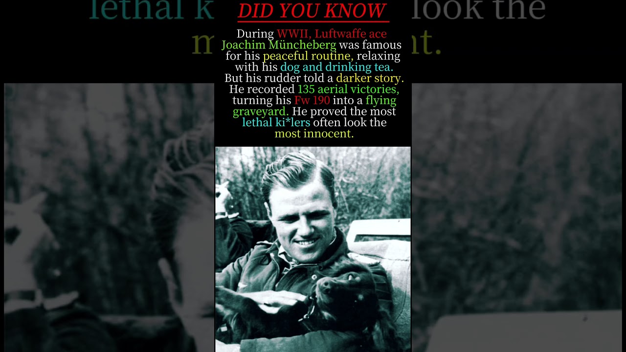 Napoleon Won 135 Battles — So How Did He Lose Everything?