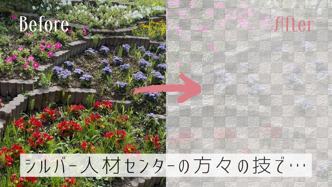 シルバー 人材 センター 草むしり