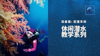 PADI休闲潜水教学 装备篇之一：你以为不起眼的配重