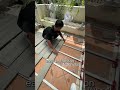 Why I Regret Not Using WPC Decking Earlier…#wpcdeckingsupplier#WoodPlasticComposite#deckingfactory