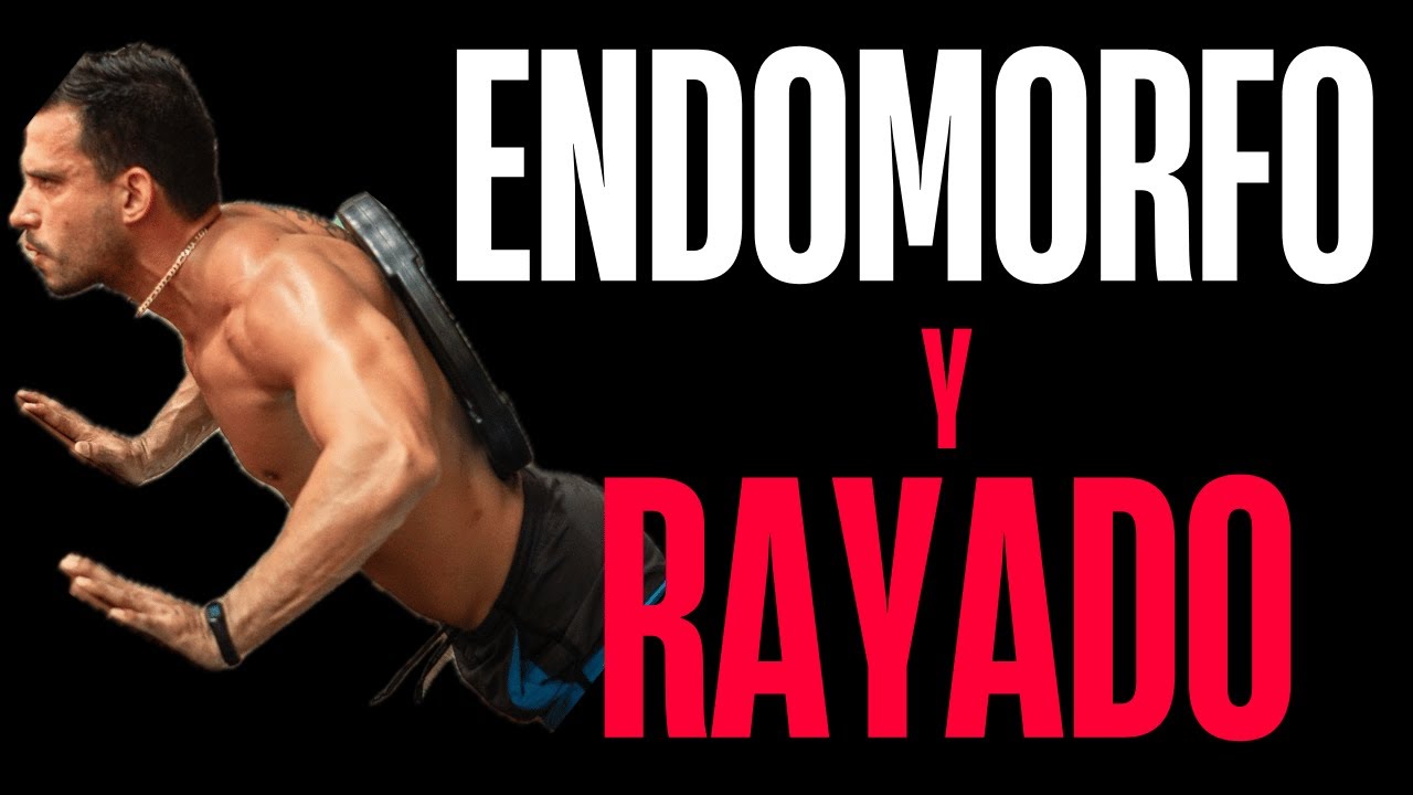 ENDOMORFOS: La Rutina Perfecta Para Perder Grasa y Ganar Músculo al Mismo Tiempo 💪🔥