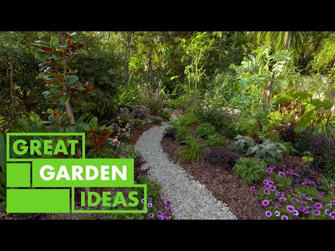 Video: Parastā rīcineļļa ir labākais dārza dobju rotājums