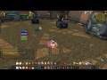 Holy Paladin legion arena gameplay