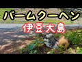 伊豆大島の名所【バームクーヘン】に行ってきました