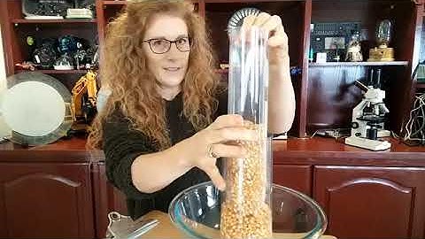 Homeschool Science Experiment: Cells, Laser Microscopes, and Surface Area