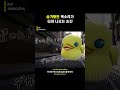 '이곳에서만이 나의 진심을 낼 수가 있어' [ASP - JUSHO(주소)]