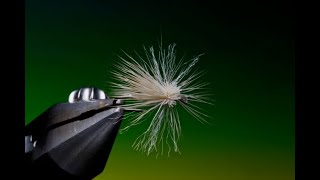Fly Tying the Missing Link fly with Barry Ord Clarke