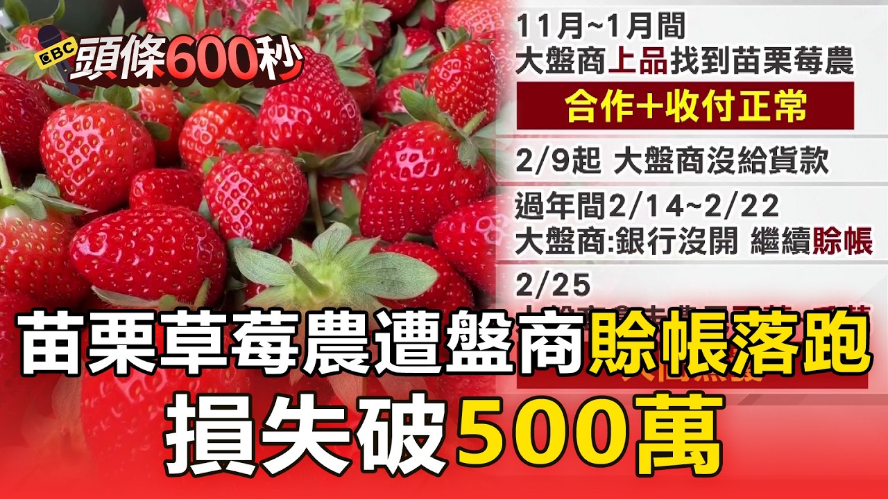 苗栗10多草莓農遭盤商「賒帳落跑」 損失破500萬【頭條600秒】