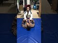 BJJ sneaky guard pass jiujitsu