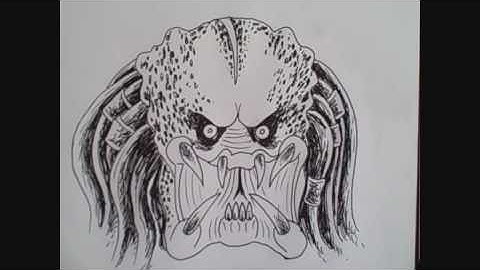Drawing A Predators Face